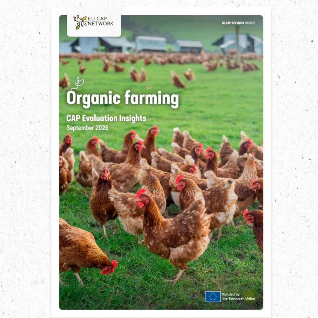 Informe de evaluación de la PAC y su fomento del sector agrario ecológico