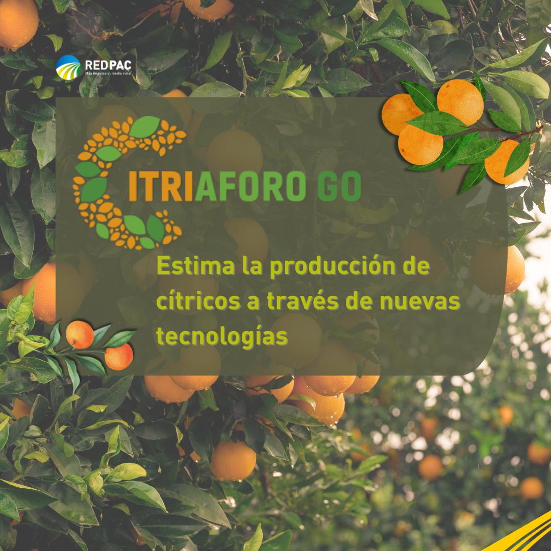 El Grupo Operativo Citriaforo estima la producción de cítricos a través de nuevas tecnologías