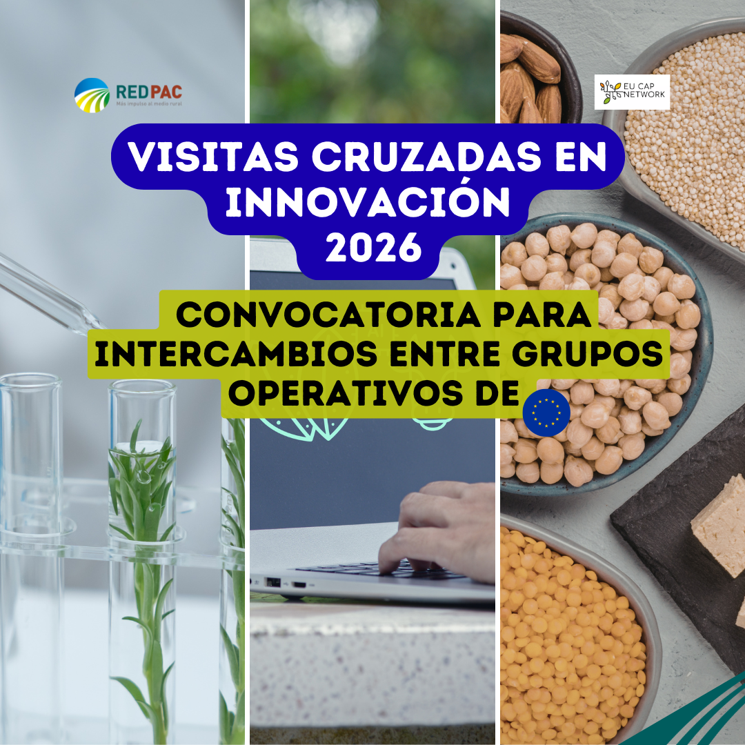 La Red Europea de la PAC impulsa nuevas visitas cruzadas entre Grupos Operativos para fortalecer la innovación agraria en 2026