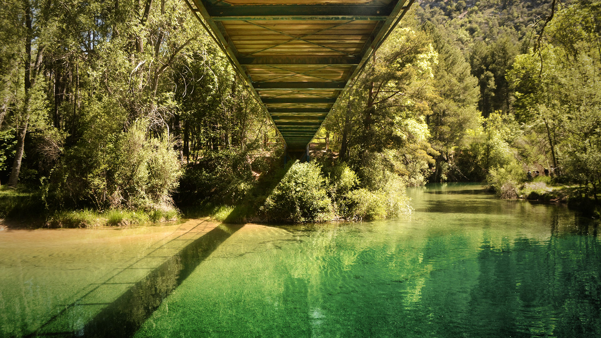 El Camino Suspendido