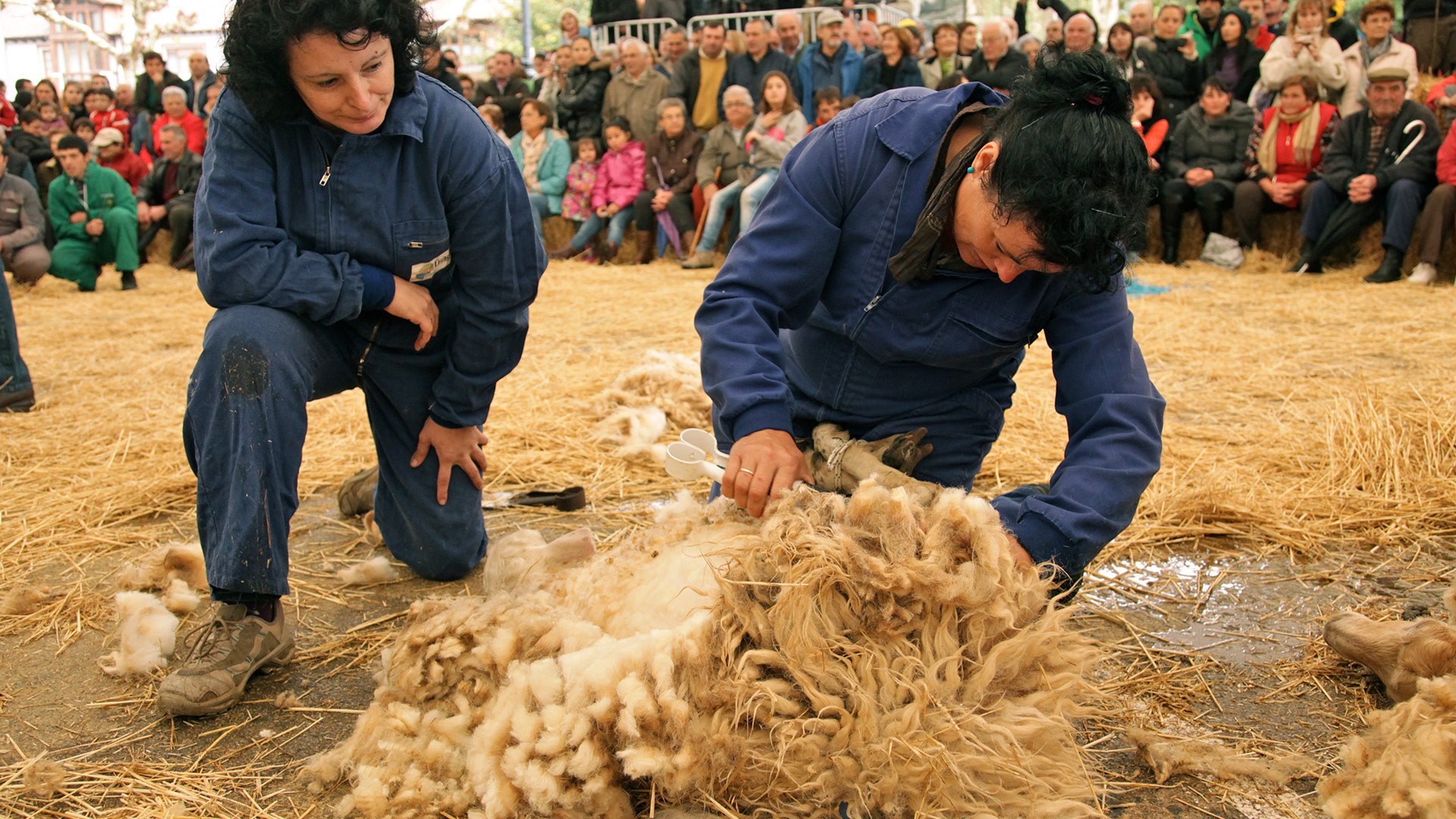 Miguel Hernán Parra