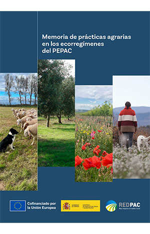 portada Aldeanas del siglo XXI