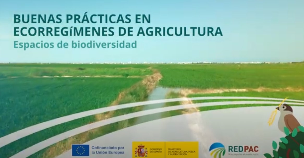 Boas prácticas en ecorreximes agrícolas: Espazos de biodiversidade