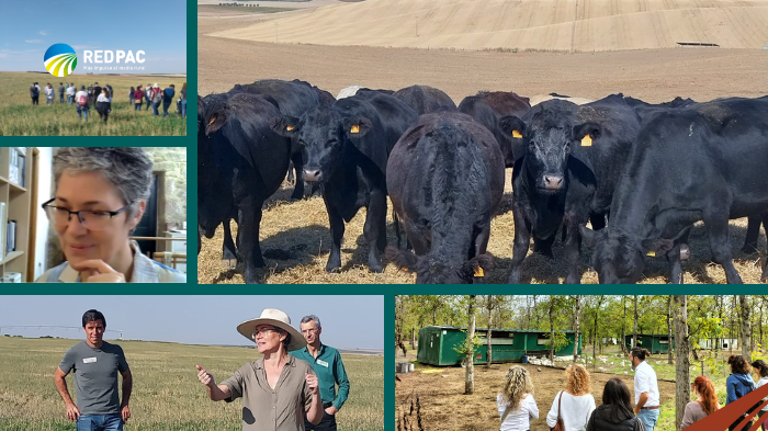 La Red PAC promueve la agroganadería regenerativa como modelo de futuro para el campo español mediante un taller formativo 