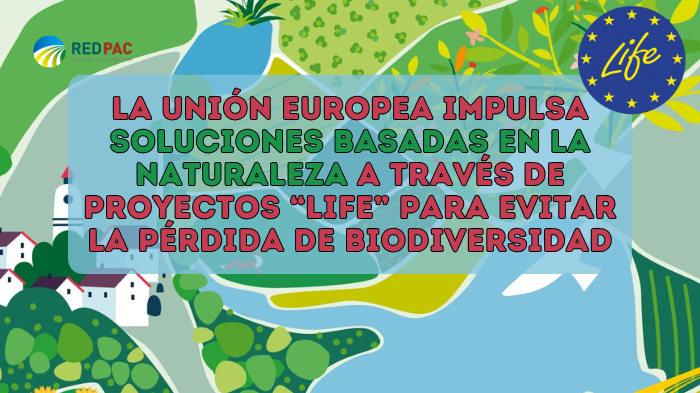 La Unión Europea impulsa soluciones basadas en la naturaleza a través de proyectos LIFE para evitar la pérdida de biodiversidad La Unión Europea impulsa soluciones basadas en la naturaleza a través de proyectos LIFE para evitar la pérdida de biodiversidad 