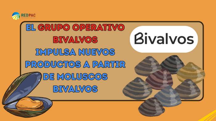 El Grupo Operativo BIVALVOS impulsa nuevos productos a partir de moluscos bivalvosEl Grupo Operativo BIVALVOS impulsa nuevos productos a partir de moluscos bivalvosEl Grupo Operativo BIVALVOS impulsa nuevos productos a partir de moluscos bivalvos
