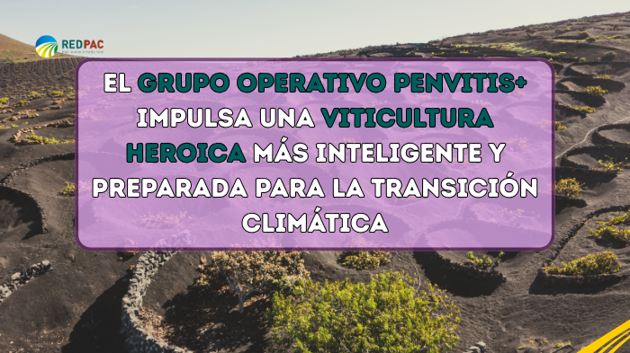 El Grupo Operativo PENVITIS+ impulsa una viticultura heroica más inteligente y preparada para la transición climática