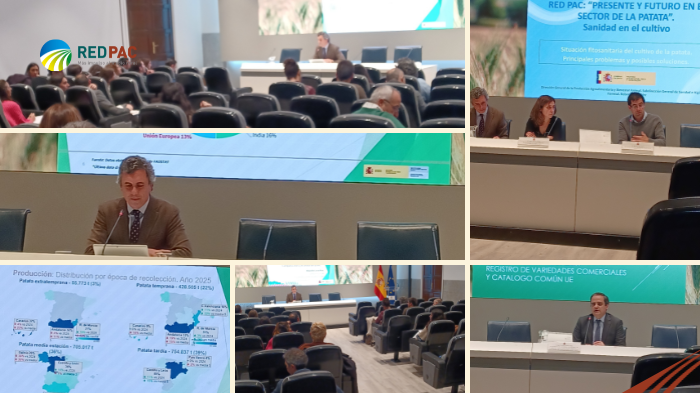 Jornada Red PAC "Presente y futuro del sector de la patata"