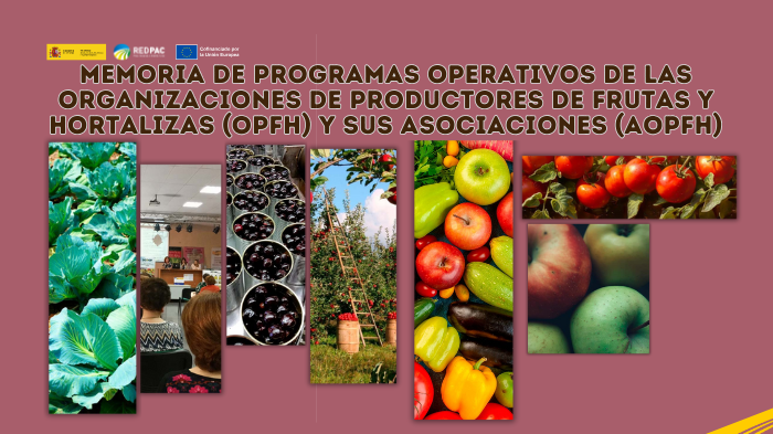 La Red PAC publica la Memoria de programas operativos de las “organizaciones de productores de frutas y hortalizas” y sus asociaciones: marco, resultados y voces del sector