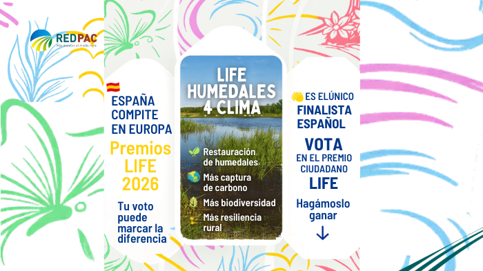 Los Premios LIFE 2026 celebran su 20 aniversario con un proyecto español entre los finalistas del Premio CiudadanoLos Premios LIFE 2026 celebran su 20 aniversario con un proyecto español entre los finalistas del Premio Ciudadano