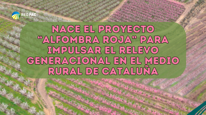 Cataluña impulsa el proyecto “Alfombra roja” para acelerar el relevo generacional en el medio ruralCataluña impulsa el proyecto “Alfombra roja” para acelerar el relevo generacional en el medio rural