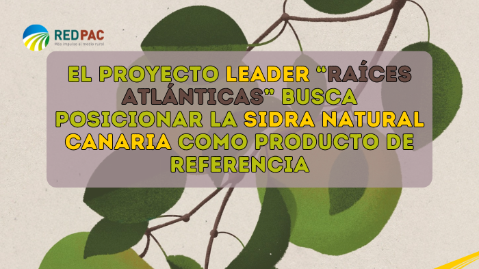 El proyecto de cooperación LEADER “Raíces Atlánticas” se propone posicionar la sidra natural de Canarias como un producto de referencia