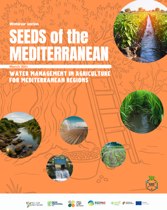 Seeds of Mediterranean