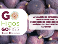 Grupo Operativo HIGOS 